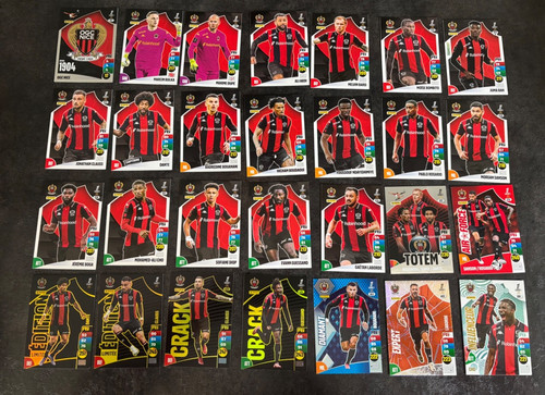 Panini adrenalyn ligue1 - panini,