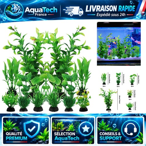 Quozuo plantes - quozuo,