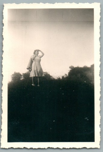 1950 curiosité snapshot - 1950', la