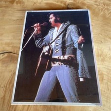 Sunbird Jigsaw Puzzle Elvis