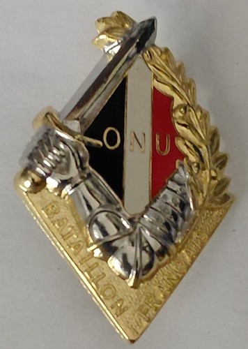 Insigne bataillon français - insigne,