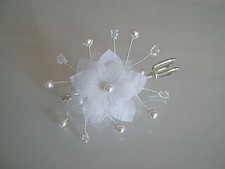 Attache/Remonte Traine/Broche