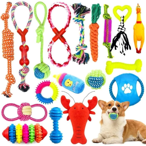 Jouets chien - jouets,