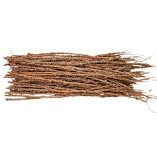 Khamaré vétiver – racine