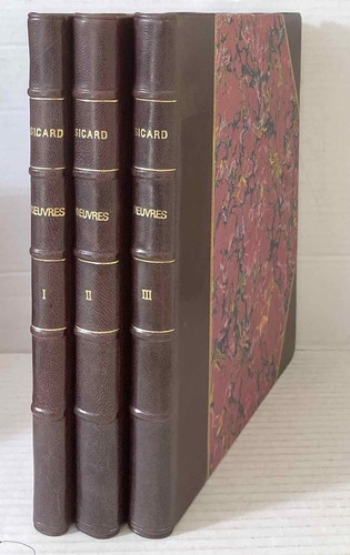 Sicard oeuvres egypte 3 - oeuvres,,