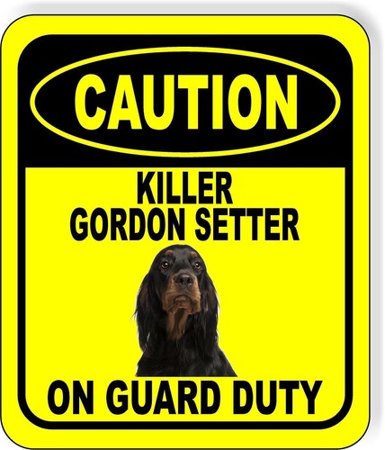 Caution killer gordon - killer, setter