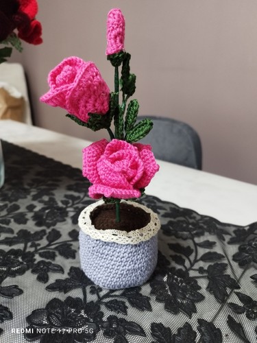 Pot fleur sa plante - fleur,