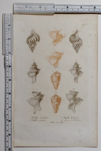 C1800 antique imprimé - c1800,