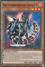 ♦Yu-Gi-Oh!♦ Salamangrande Coyote (Salamangreat) : RIRA-FRSE1 -VF/Super Rare-