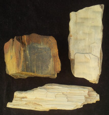 Lot Morceaux de bois fossilisé France Oise (60) - Fossile, Fossils, Minéraux