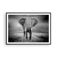 Affiche Poster 100x70cm Tableaux Image Photo Éléphant Wildness Nature Wall Art