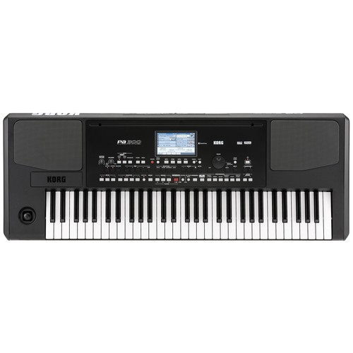 Korg pa300 key - pa300, professional