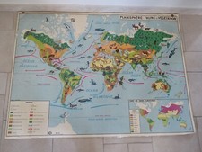 carte affiche scolaire ancienne PLANISPHERE FAUNE ANIMAUX art populaire MDI 