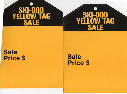 Vintage ski doo - (2), snowmobile