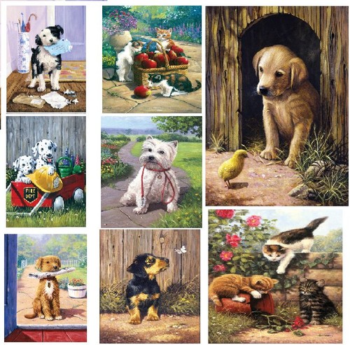 Pique De 16 Chiens Chats
