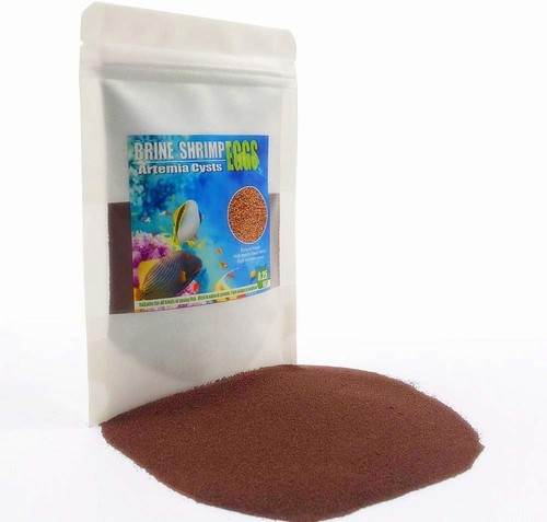 Brine shrimp eggs - brine, aquatic