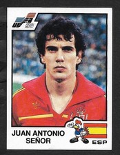 IMAGE Vignette PANINI