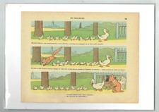 Benjamin Rabier - Un Malheur -