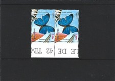 4497 : Morpho bleu (vendu à