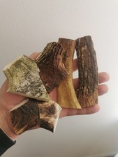 331. Balances en corne de cerf