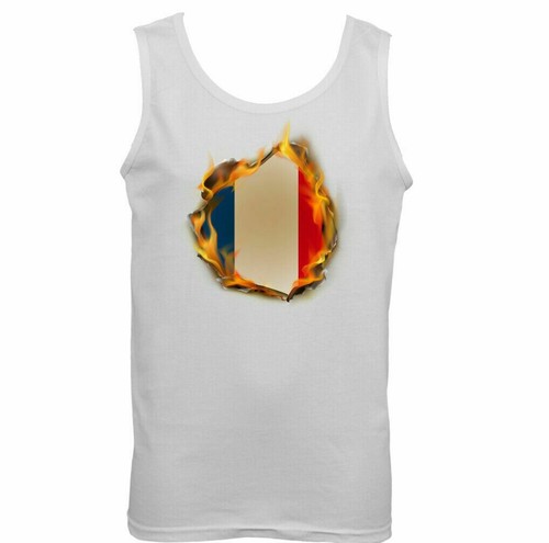 Français drapeau flames - drapeau,