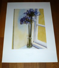 Poster Affiche AGAPANTHUS / AGAPANTHE de Sarah Jarrett - 50 cm x 70 cm - NEUF