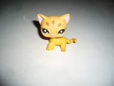 lps 1377 shorthair cat