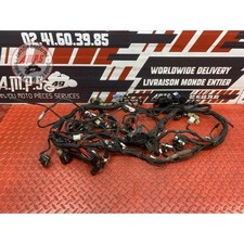 Faisceau électrique principale Ducati 1200 Multistrada S DVT 2015 à 2017