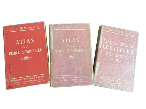 Atlas flore simplifiée abbé - flore,
