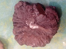 Lot Minéraux Fossiles