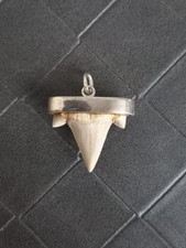 pendentif dent de requin