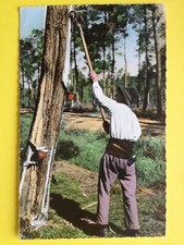 cpsm FRANCE Métier LA LANDE Le RESINIER au TRAVAIL Gemmeur