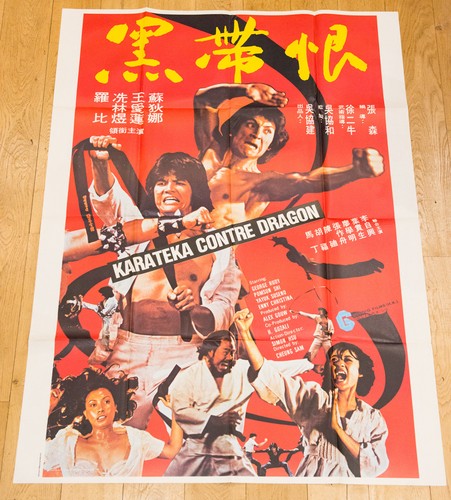 Karateka contre dragon - contre, affiche