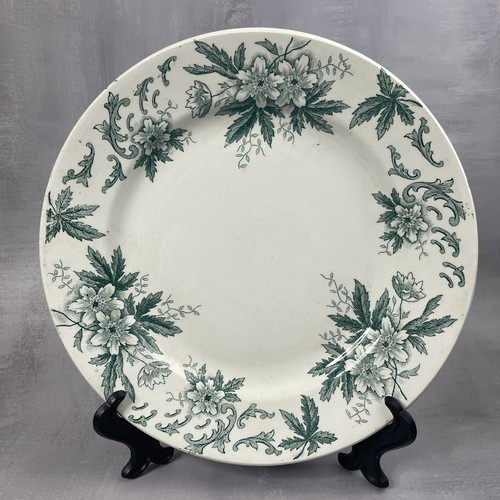 Assiette terre fer anemone - terre,