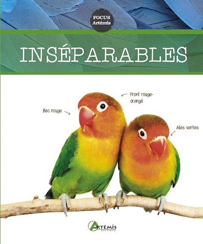 Inséparables collectif - inséparables,