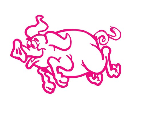 Pig leaping wild happy - wild,