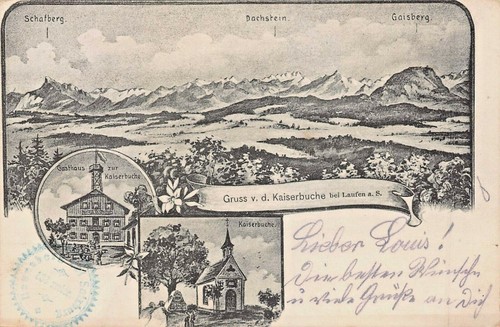 Kaiserbuche bei laufen - kaiserbuche,