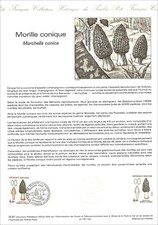 Timbre 1er jour sur document philatélique - MORILLE CONIQUE - PARIS - 1987