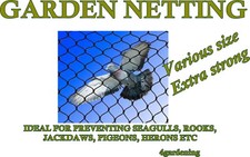 Grillage Jardin Oiseau Protection Agricole Pas Plastique Fabriqué En Ue Diverses