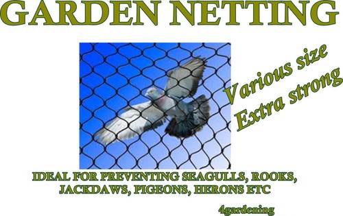 Grillage jardin oiseau - grillage,