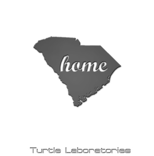 South carolina home steel - south,