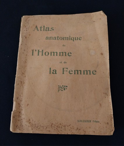 Atlas anatomique homme et - atlas,