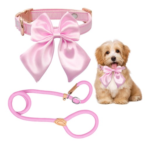 Collier pour chien - pour, 1