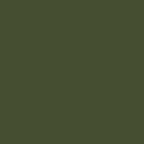 Vert olive fonce flat - 83,