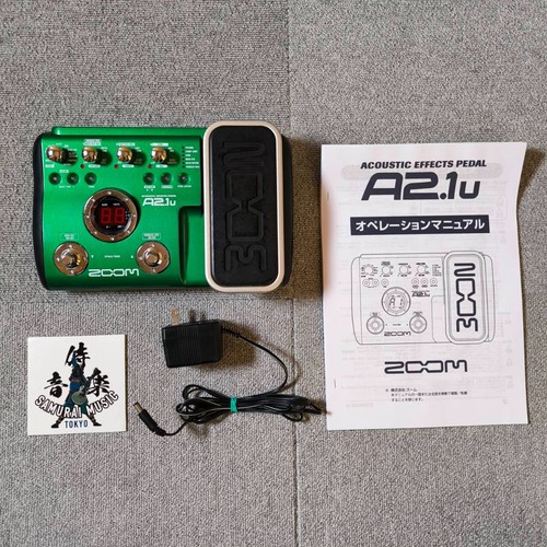 Zoom acoustic guitar - zoom,