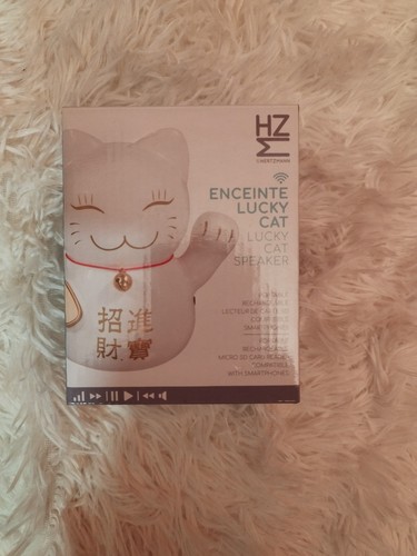 Enceinte lucky cat - cat,