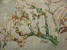 Japonais Fleur de Cerisier