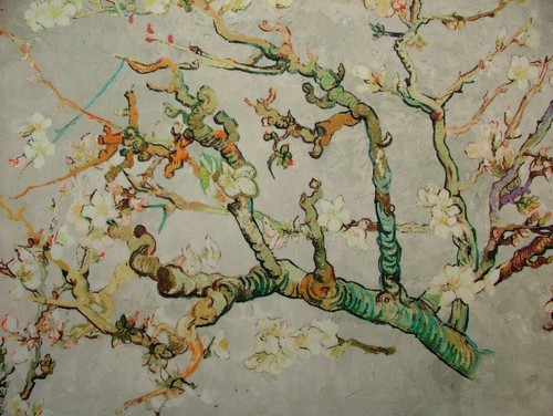 Tissu velours rideau - tissu, arbre