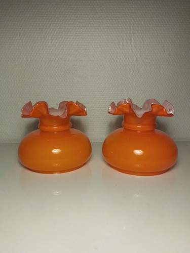Tulipe opaline orange abat - opaline, orange,abat
