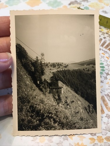 Ancienne photo annee - annee, 52